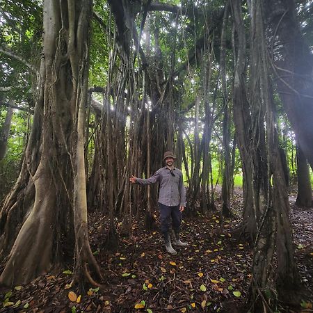 Hospedaje Y Tours Reina Arriera Amazonas Colombia Macedonia Экстерьер фото