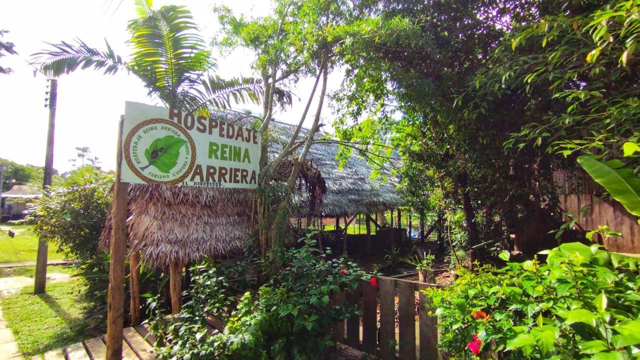 Hospedaje Y Tours Reina Arriera Amazonas Colombia Macedonia Экстерьер фото