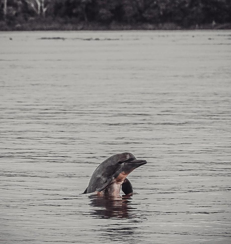 Hospedaje Y Tours Reina Arriera Amazonas Colombia Macedonia Экстерьер фото
