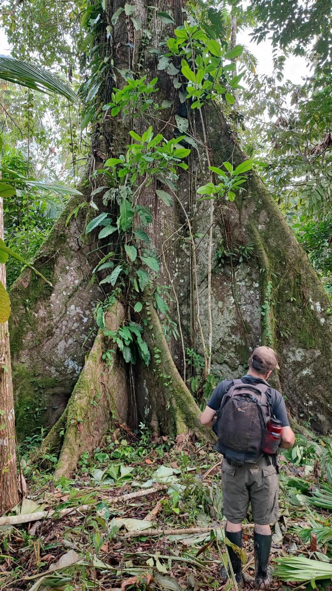 Hospedaje Y Tours Reina Arriera Amazonas Colombia Macedonia Экстерьер фото