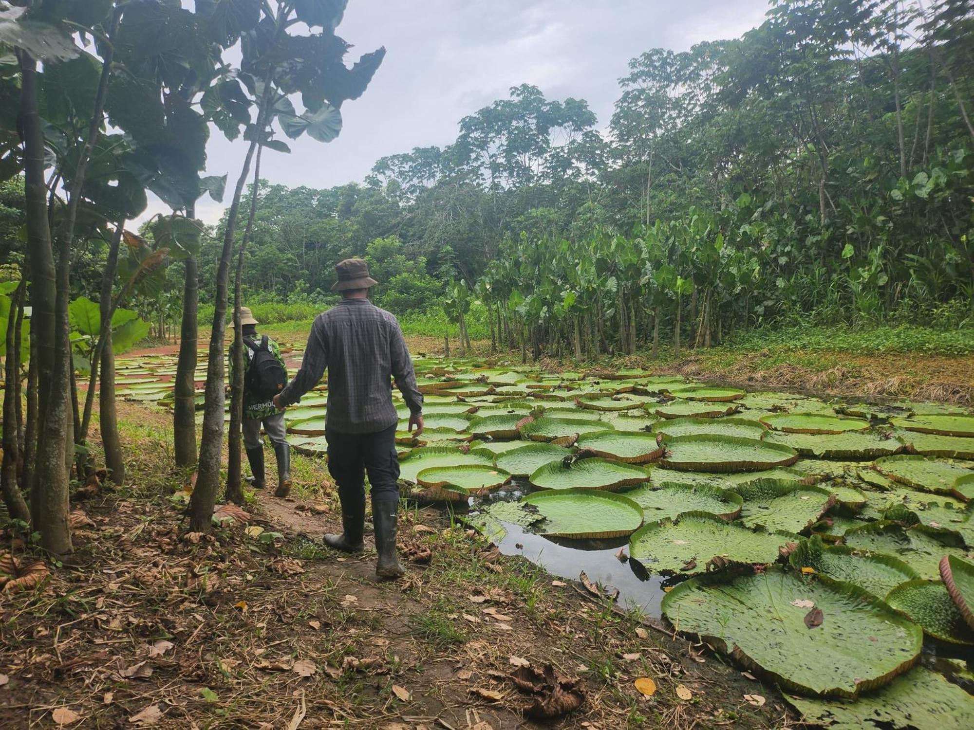Hospedaje Y Tours Reina Arriera Amazonas Colombia Macedonia Экстерьер фото