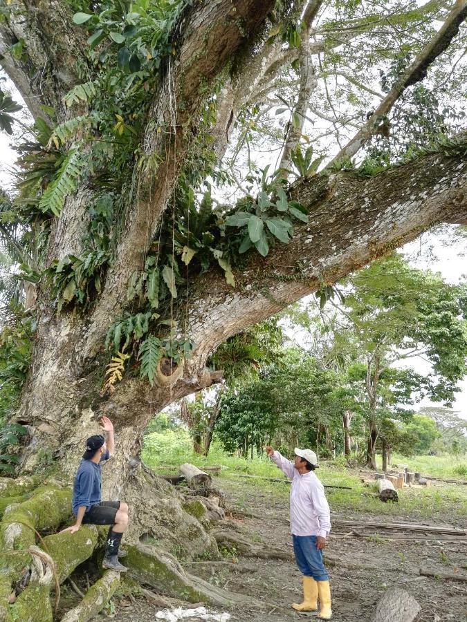 Hospedaje Y Tours Reina Arriera Amazonas Colombia Macedonia Экстерьер фото